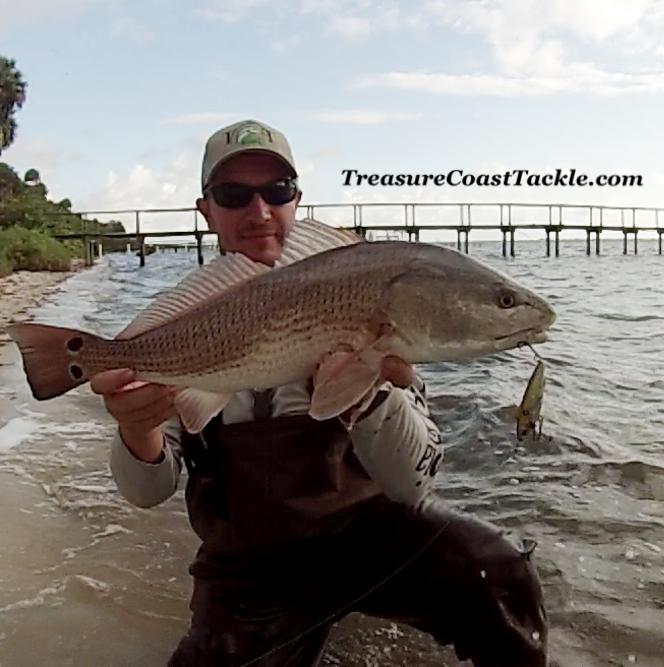 TCoastTackle's tweet photo. Great solo #wading trip this morning! When it's #windy you can't beat a #ripnslash!
http://t.co/xcWJetMD9S
#redfish http://t.co/ty7sp4kCBR