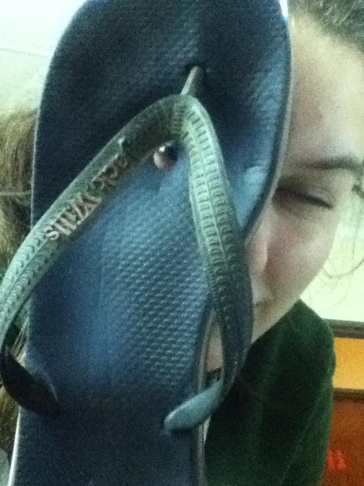 Amy Claire Schofield tweet media