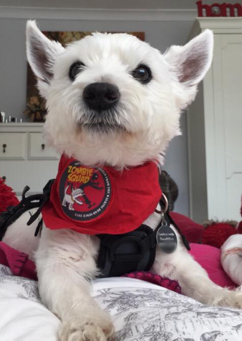 BraveWinston's tweet photo. ...for 1,000 years men will say "this was their finest hour...." I wish to fank ALL me soldyers on land &amp; sea...🙏🏼 http://t.co/YWwSa2eqzy