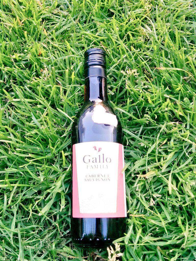 tristanmarmont's tweet photo. "This isn't cooking wine this is a Cabernet Sauvignon" @sethmason #ClassicSeth #187ml #PocketWine #FuckingAutocorrect http://t.co/ZNSTNBovHa