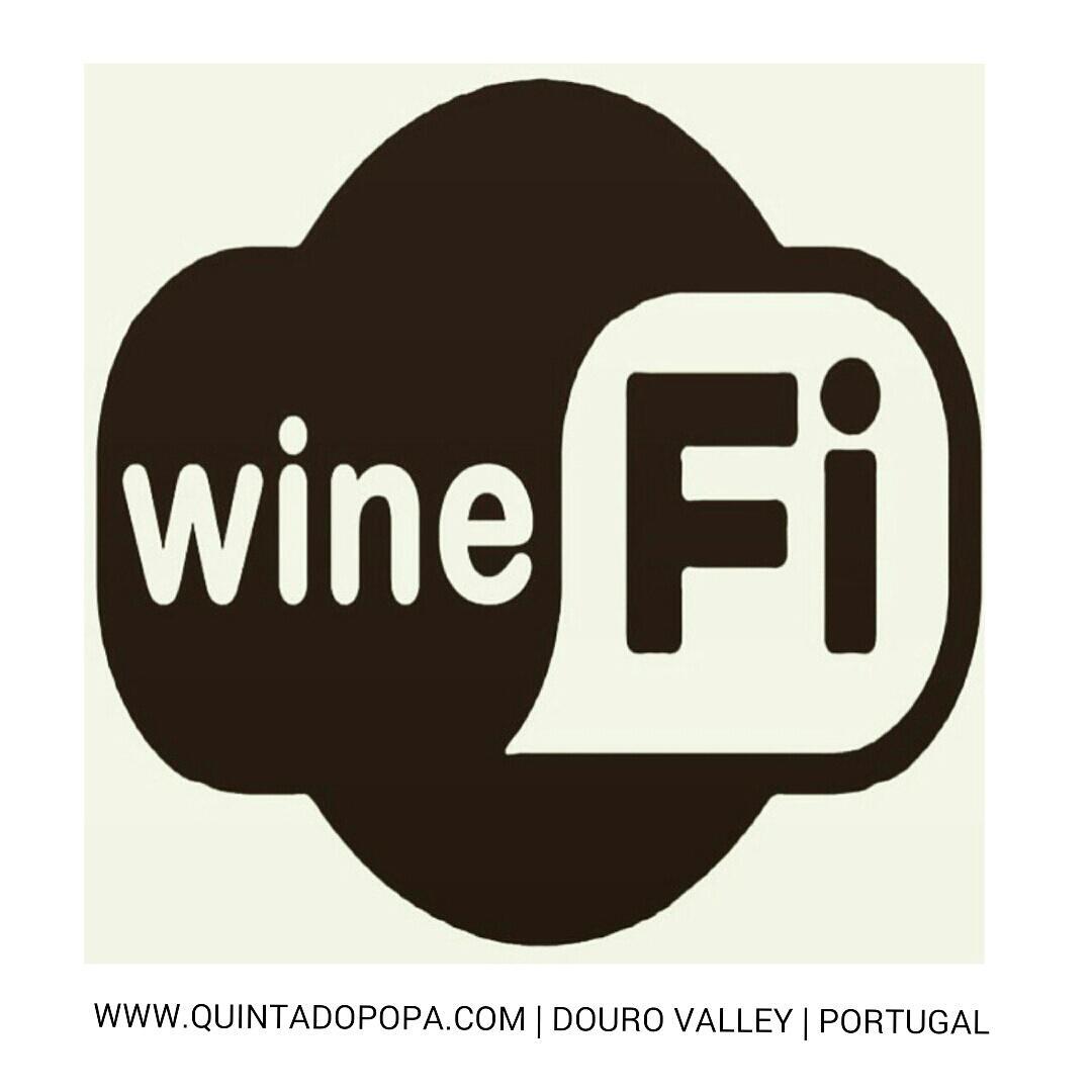QtaDoPopa's tweet photo. Saturday night to all our #popafriends... is were #winefi is! 🍷😆🔛👌😉 Cheers to all!! http://t.co/jKY8kZW9jc