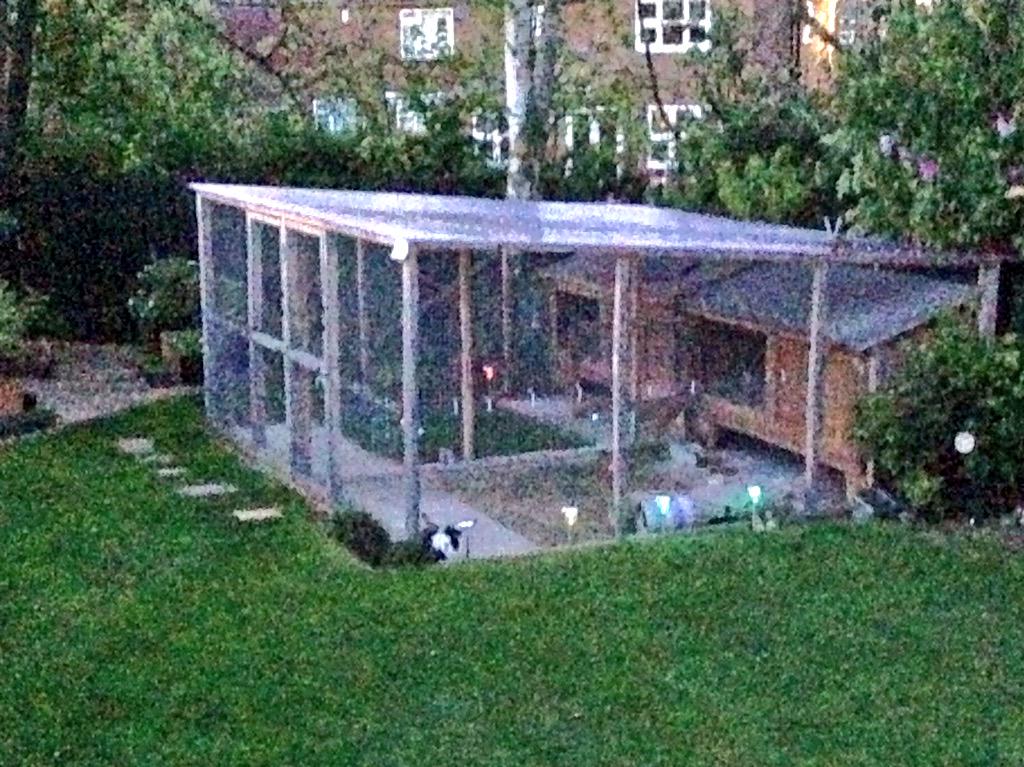SplodgeAndLilo's tweet photo. @rabbitawareness A hutch is not enough, neither's a run in our opinion but it will do! #raw2015 #RoomForRabbits http://t.co/FNihySMWV9