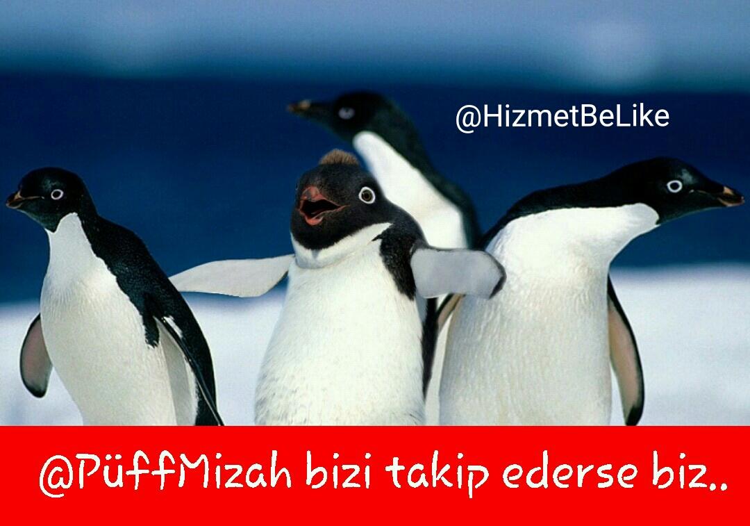 HizmetBeLike's tweet photo. http://t.co/SiF2K5cSet