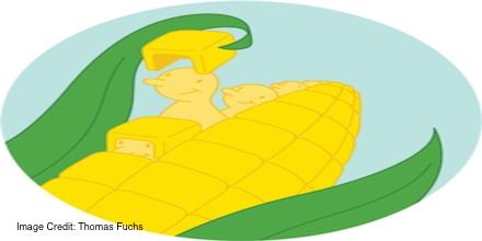 Mother knows best—mom #plants tell their seeds when to sprout: ow.ly/N2CSK #science