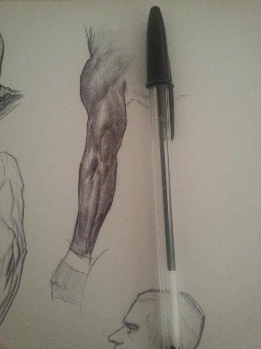 Arm #anatomy sketch by Bryan Lee using a Bic pen buff.ly/1KJGZr0 #drawing #sketch #2dart