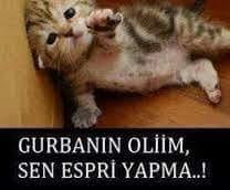 OgrenciE's tweet photo. bazı kızlar ortamda espırının pogunu ckkarınca http://t.co/2W3t638g5m