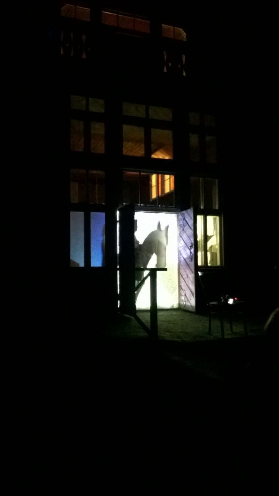 ervinsk's tweet image. Pēdējā šīs #muzejunakts #Vecpiebalga vidusskolas skolēnu ēnu teātra izrāde Saulrietos