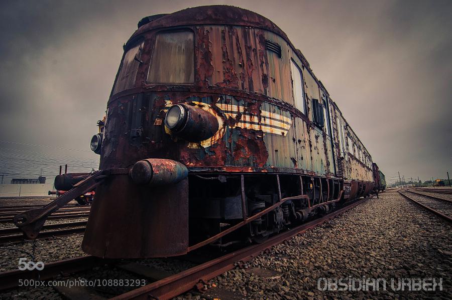 CoverGap's tweet photo. Orient #Express - ... - http://t.co/VECODMtM5o #Abandoned #AbandonedTrain #Belgium #D3200 #Derelict #Nd3200 http://t.co/EAfwpEw89o