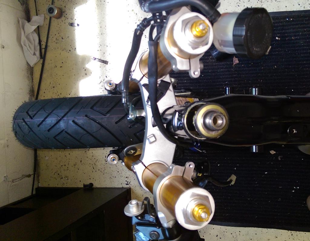 MarketFaceToday's tweet photo. Thanks again for my tree conversion ... Getting there!!! @johnryland @classifiedmoto @betsyryland http://t.co/mZwcc6vugr