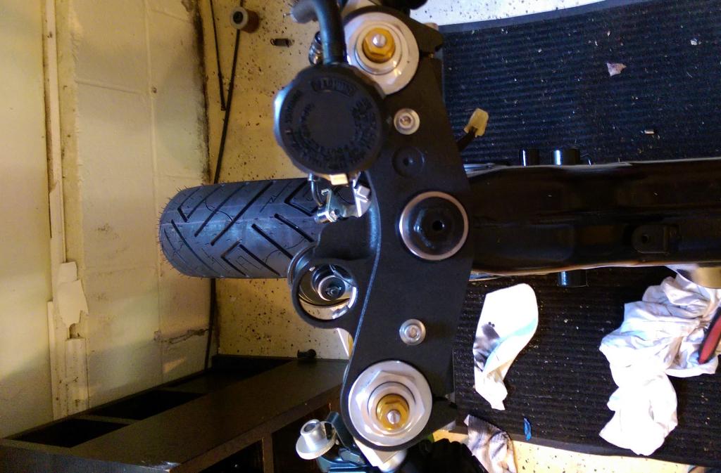 MarketFaceToday's tweet photo. Thanks again for my tree conversion ... Getting there!!! @johnryland @classifiedmoto @betsyryland http://t.co/mZwcc6vugr