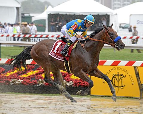 American Pharoah – Preakness Stakes 2015