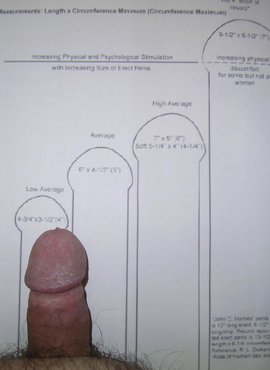 Human penis size