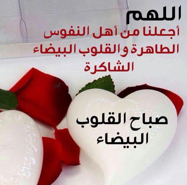 الله كريم  (@delta336) on Twitter photo 