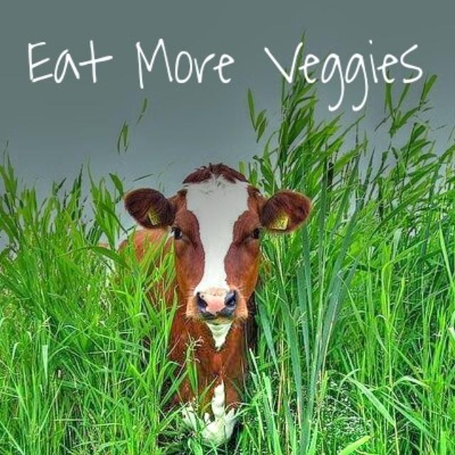 LivingWithMir's tweet photo. #EatMoreVeggies #CampaignForHealth #LivingInColorInsideAndOut http://t.co/5dpC8gyRGt http://t.co/IgaKTHBmLC