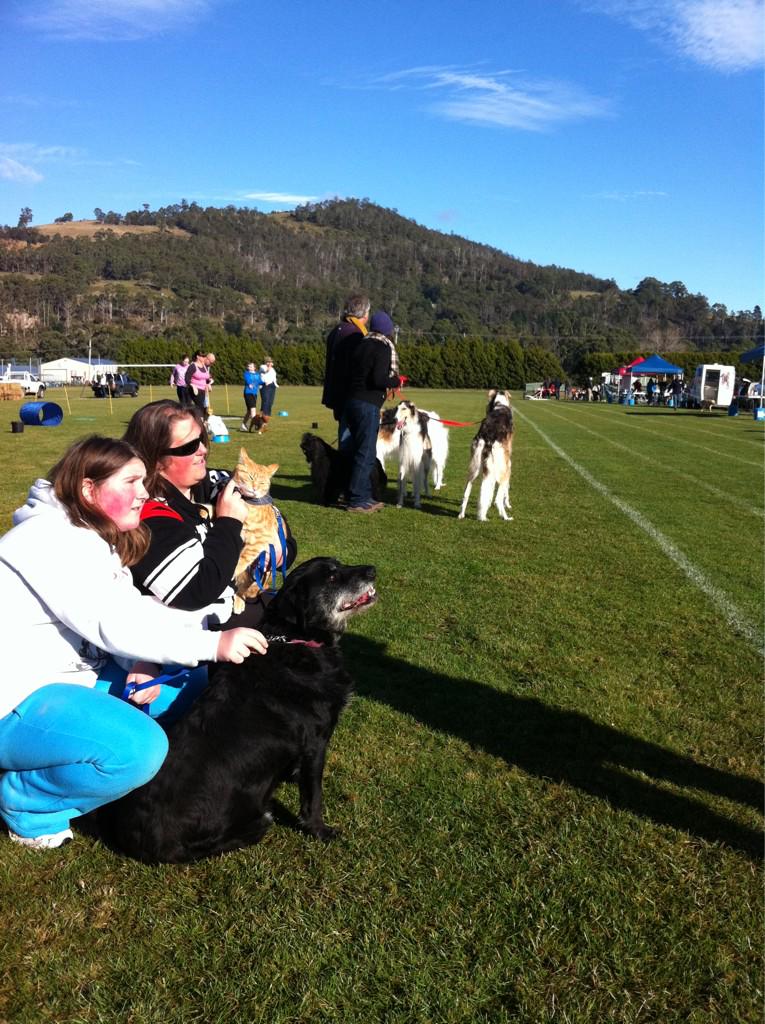 Huon Valley Council tweet media