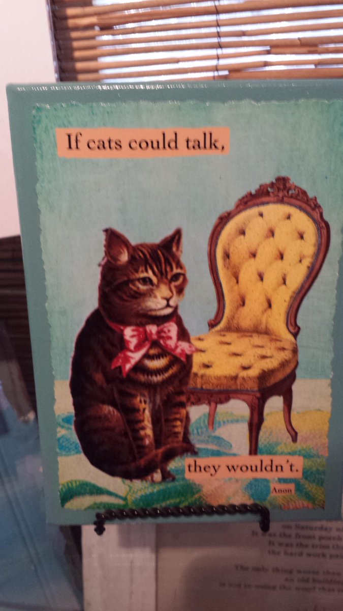 Haha this one is so true ^_^ #cats