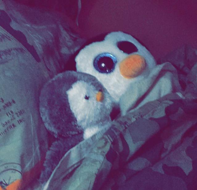 fuzzythepenguin's tweet photo. #penguinlife http://t.co/qwvwvHvfNP