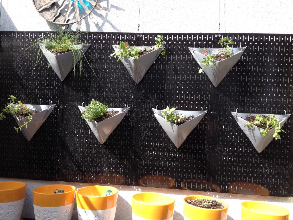 verdeveil's tweet photo. #CustomerSuccess using #origami wall #planters @verdeveil http://t.co/cTT74xeIdZ