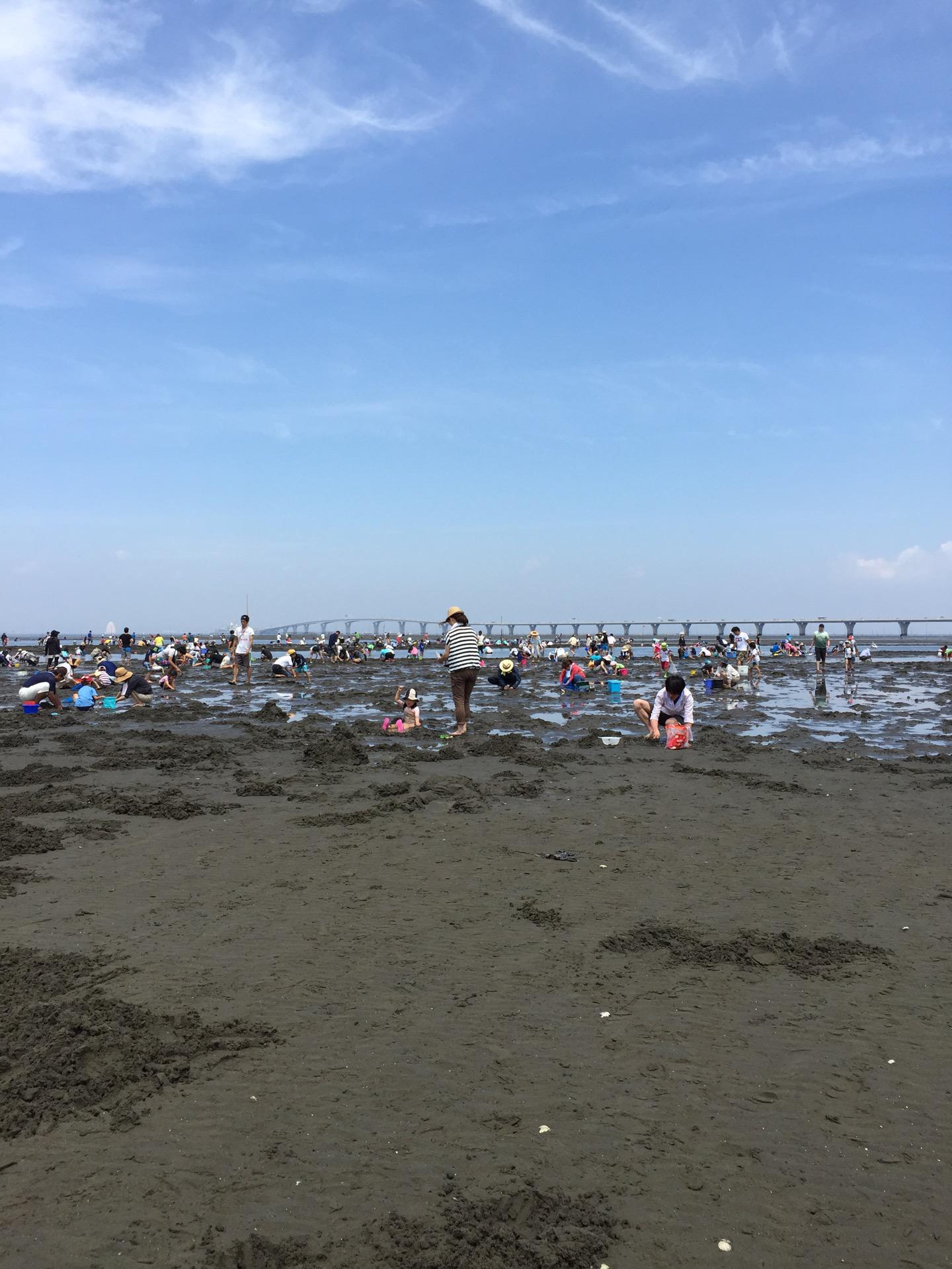 ほっち 潮干狩りング 金田見立海岸潮干狩場 In 木更津市 千葉県 T Co Njnaswzj Http T Co Kwhiouo08h Twitter