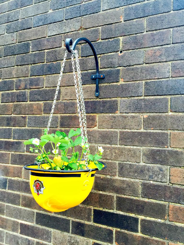 salfordfireteam's tweet photo. Following #IrlamBlueWatch visit to @IncrEdibleSal our raised planter is now full of Edibles! ππππ http://t.co/q53ah9tct7