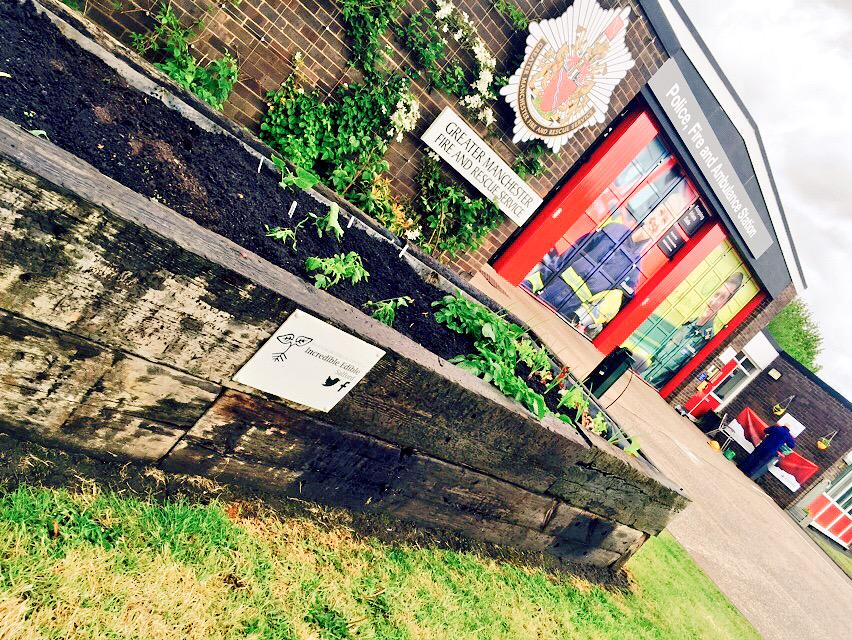 Following #IrlamBlueWatch visit to <a href="/IncrEdibleSal/">IncrEdible Salford</a> our raised planter is now full of Edibles! 😀🚒🍆🍓