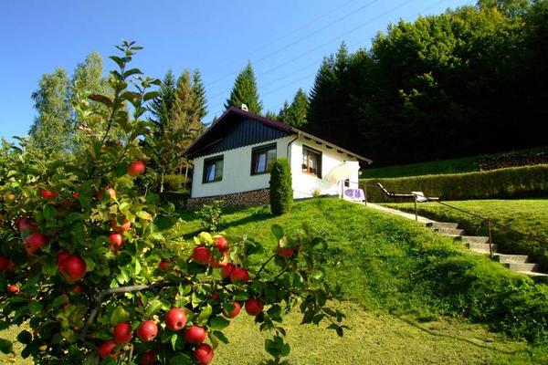 BungalowBe's tweet photo. Bungalows te huur in een landelijke omgeving.
http://t.co/uIByQXIbLa http://t.co/Uj9DtOV5Ye