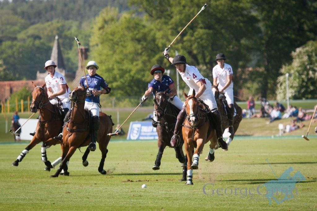 GeorgeGunn1's tweet photo. @majorfcpolo @jamesharper02 @PoloTimes @cowdraypolo @jamesbeimpolo @maxcharltonpolo @kingmorls Great win today guys! http://t.co/8QFH0yGFoa