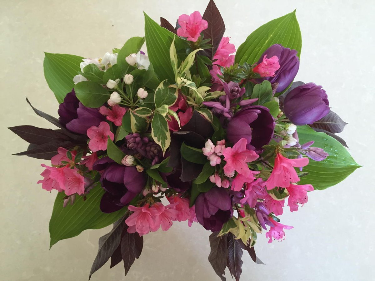 Cherrytrees Kelso tweet media