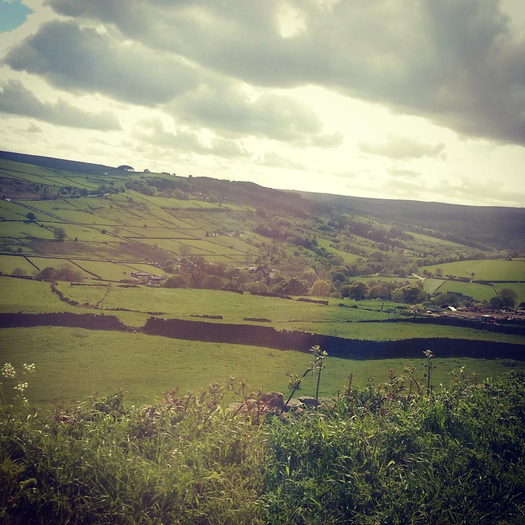 HelloCows's tweet photo. You can't beat a spot of Yorkshire countryside :) http://t.co/v5XZxtolHZ