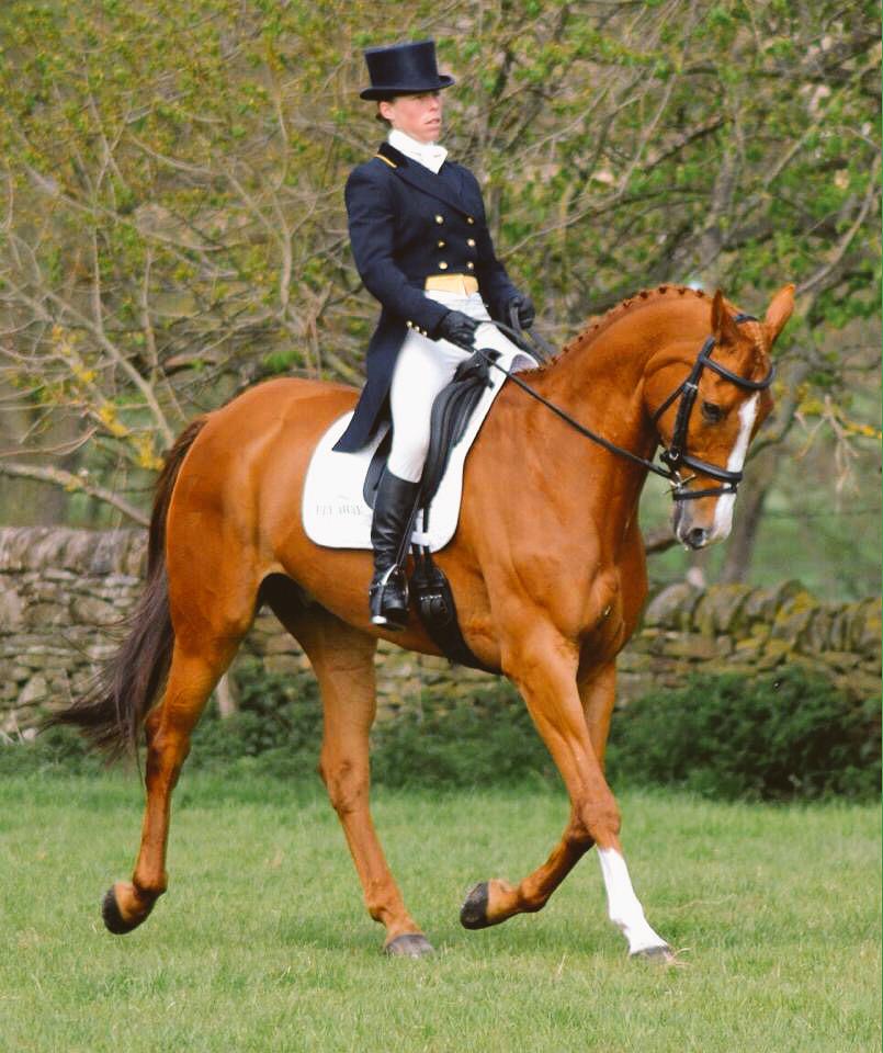 EmilyPhilp1's tweet photo. @ChatsworthHT #PinkProfile #deessage #1* http://t.co/8KUl6uq4dd