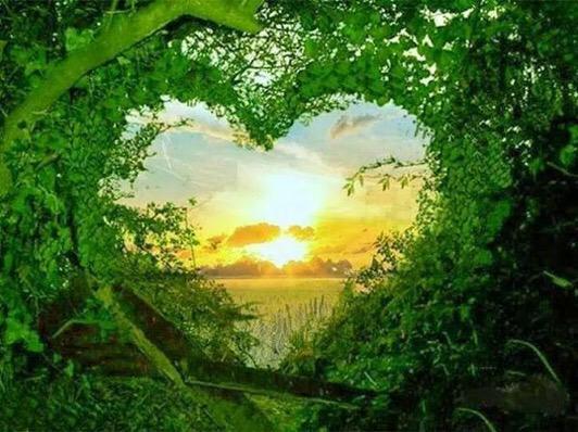marwa_7ayek's tweet photo. اللهم 🌱🍃إني أستغفرك عدد ما أنساني الشيطان ذكرك وعدد ما ما ألهتني الدنيا عن الرجوع إليك 💚🍃 http://t.co/S8RAJaNuQS