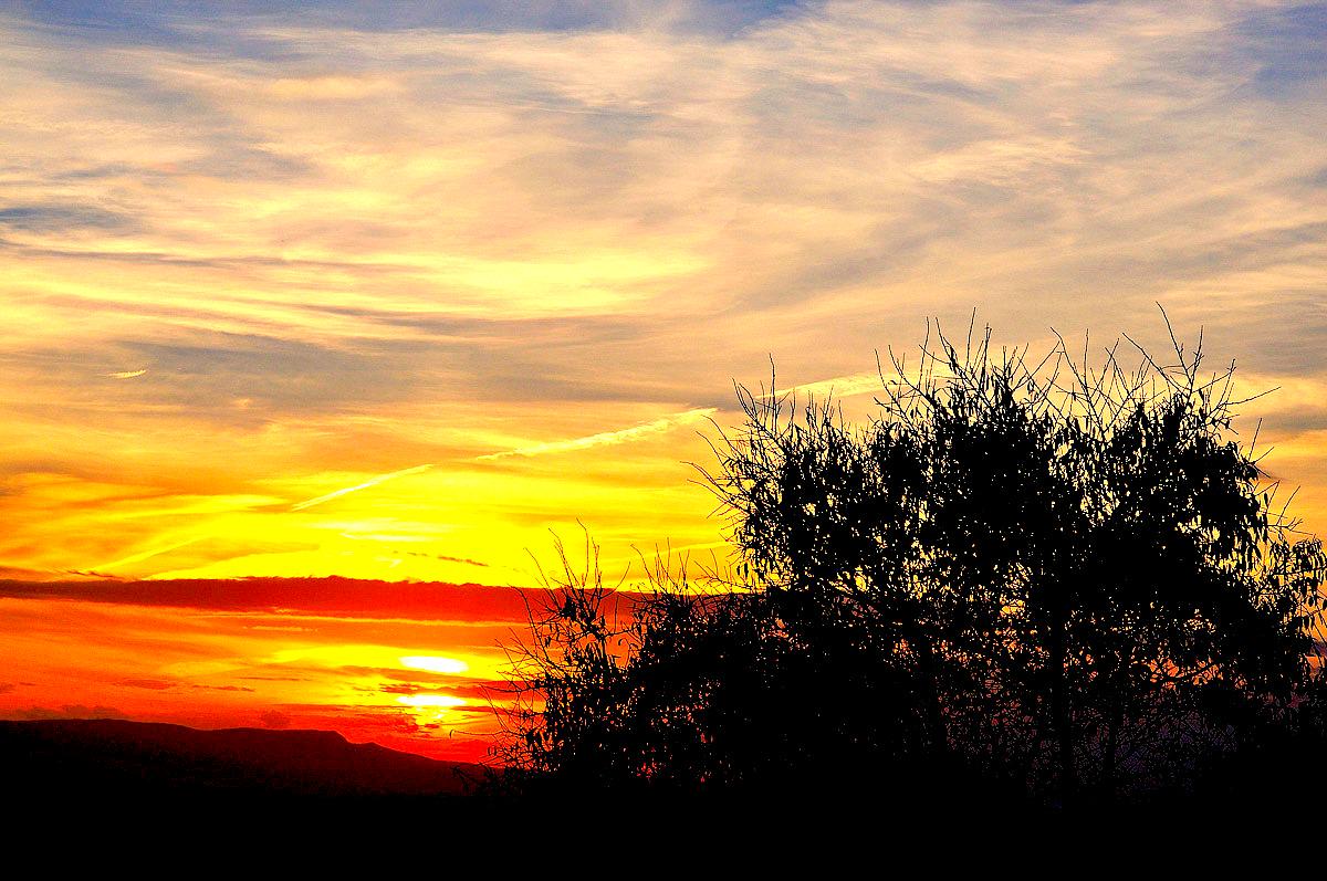 CiudadesMedias's tweet photo. El ocaso de un bello sueño Judío #Lucena @Turismo_Lucena http://t.co/9J4mhDBeZW