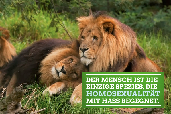 Die_Gruenen tweet picture
