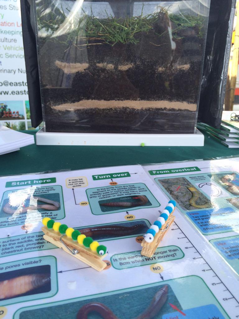 Izzy Botfield tweet media