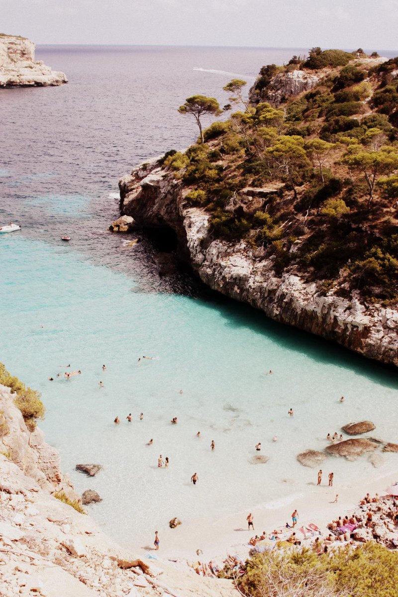 travelknowmad's tweet photo. Come and #explore Palma de Mallorca with #travelknowmad - http://t.co/Gc8UWVYdNt #vacation #palmademallorca #seaside http://t.co/DSoV90a6GI