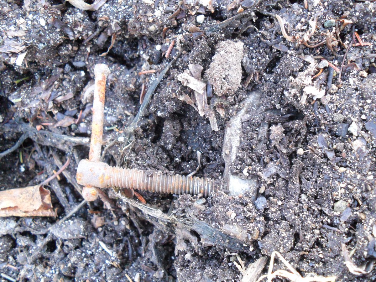 BillsGardenTips's tweet photo. You never know what you'll find when digging in a baymans #garden lol #losttools ...anyone see my hammer?? http://t.co/oZ685hTzs4