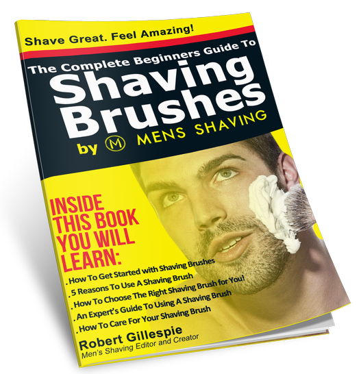 Name Your Own Price and get instant access to the e-book - bit.ly/shvbrushes