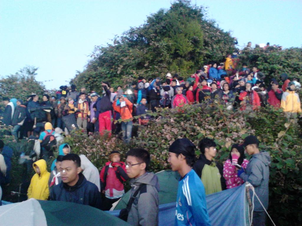 setiawan_ibey's tweet photo. Mt.cikuray http://t.co/cV3WBpnvjd
