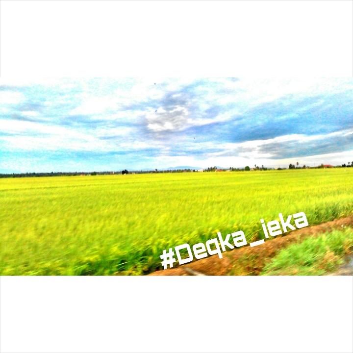 Ehh_Ieka95's tweet photo. Pusing-ii sawah 😉 w/cousin . #Candite #photographer #igersselangor #HDR #Deqka_ieka http://t.co/PsGEiqvaYn