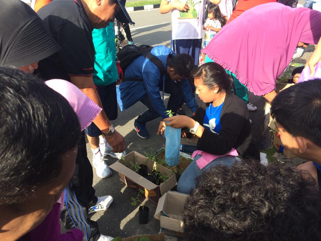 Selamat malam. Tadi pagi kami habis bagi" bibit gratis di lapmer :), alhamdulillah thn ini sudah 3000 bibit terbagi