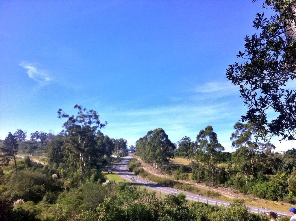 Jean Willers tweet media