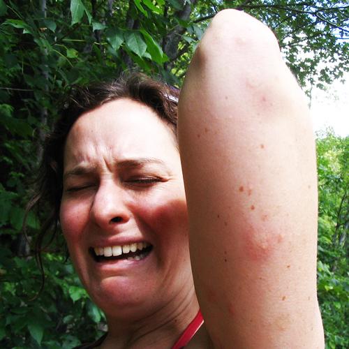 GCEPests's tweet photo. Do #termites bite? #Houston termite control #expert answers the question! https://t.co/ZKJaRqdMOc  #nature #facts http://t.co/53tY6m1BvU