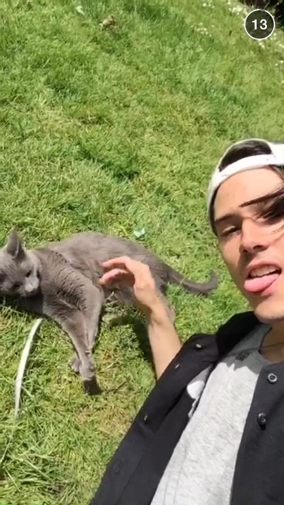 postbadbarrueco's tweet photo. 🔥🐱 http://t.co/wWyFPVHWON