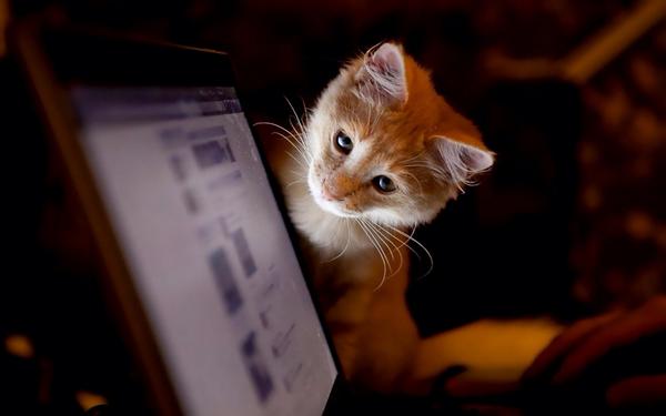 YTSTAR2010's tweet photo. @Siga_Gatito @imHpareek @VSagress @ZeyneddinD @NymphetamineGi3 http://t.co/WJ1S8Kcc9C