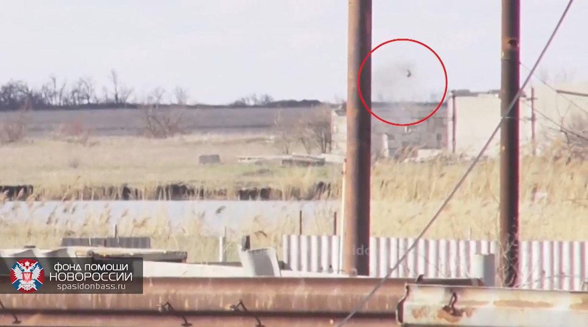 Полина гагарина кукушка 18 битва за донбасс. Кукушка донбас. Кукушка обыкновенная (cuculus canorus). Клип битва за донбасс кукушка. Кукушка донбас.