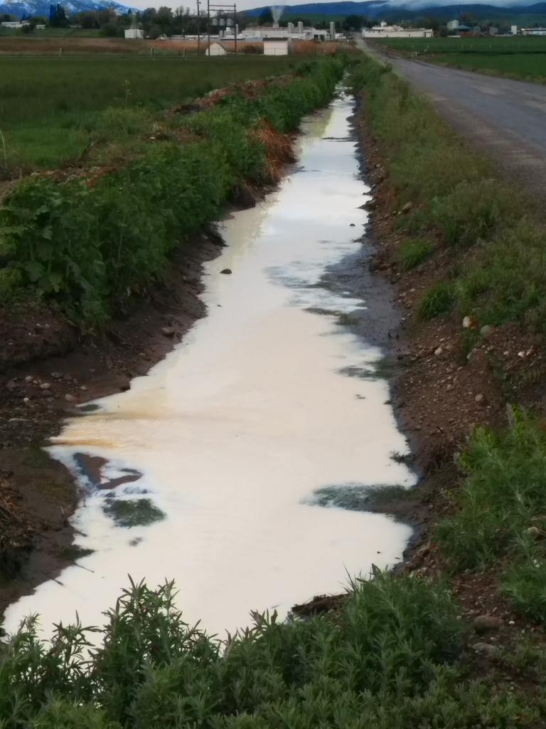 socalmormon's tweet photo. @CVDaily @HJNews milk in the canal. http://t.co/Vp7fmbHCMl