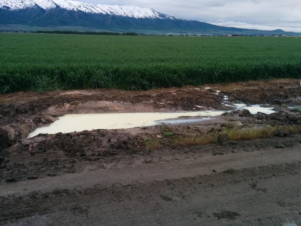 socalmormon's tweet photo. Overturned milk tanker on a section of road off limits to commercial vehicles. http://t.co/T0dEYaKJeg