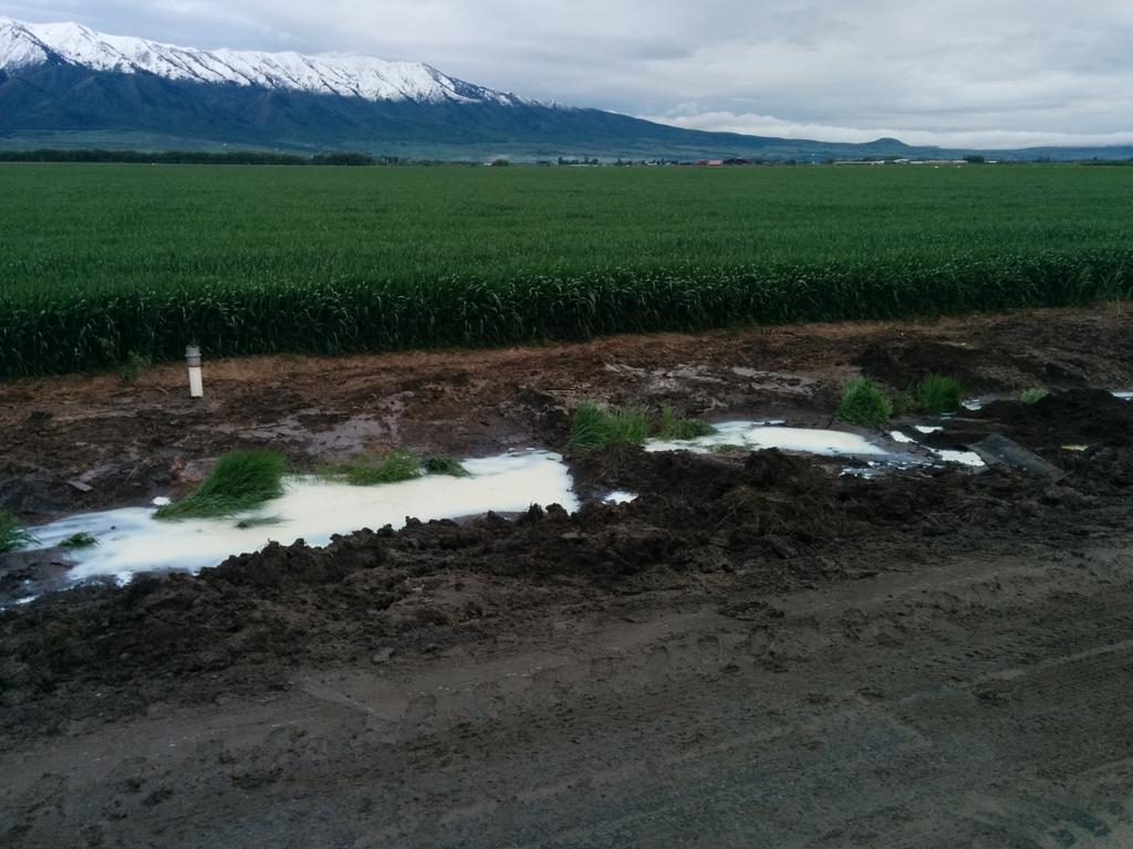 socalmormon's tweet photo. Overturned milk tanker on a section of road off limits to commercial vehicles. http://t.co/T0dEYaKJeg