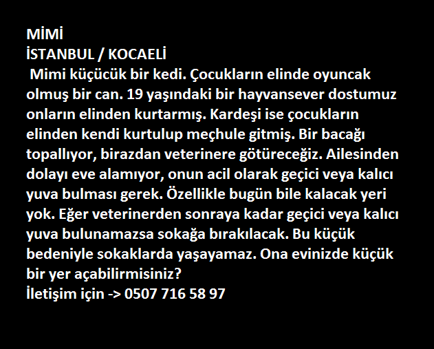 Hikayesini okuyun.ACİL GEÇİCİ/KALICI yuva.İSTANBUL / KOCAELİ <a href="/HayvanOzgurlugu/">Hayvan Özgürlüğü</a> <a href="/lsdomicim/">Leman Sam</a> <a href="/YoncaEvcimik/">Yonca Evcimik</a> <a href="/evsizpatiler/">evsizpatiler</a>