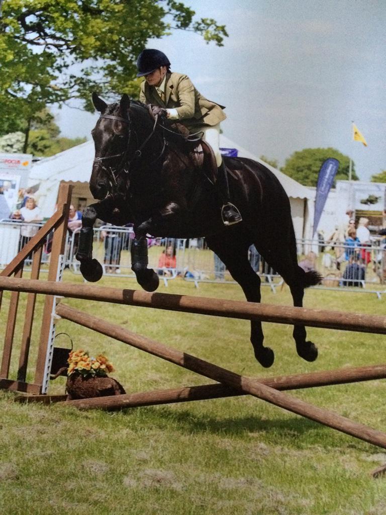 NatalieRampling's tweet image. My super ponio just excels himself again 2nd place in working hunter,